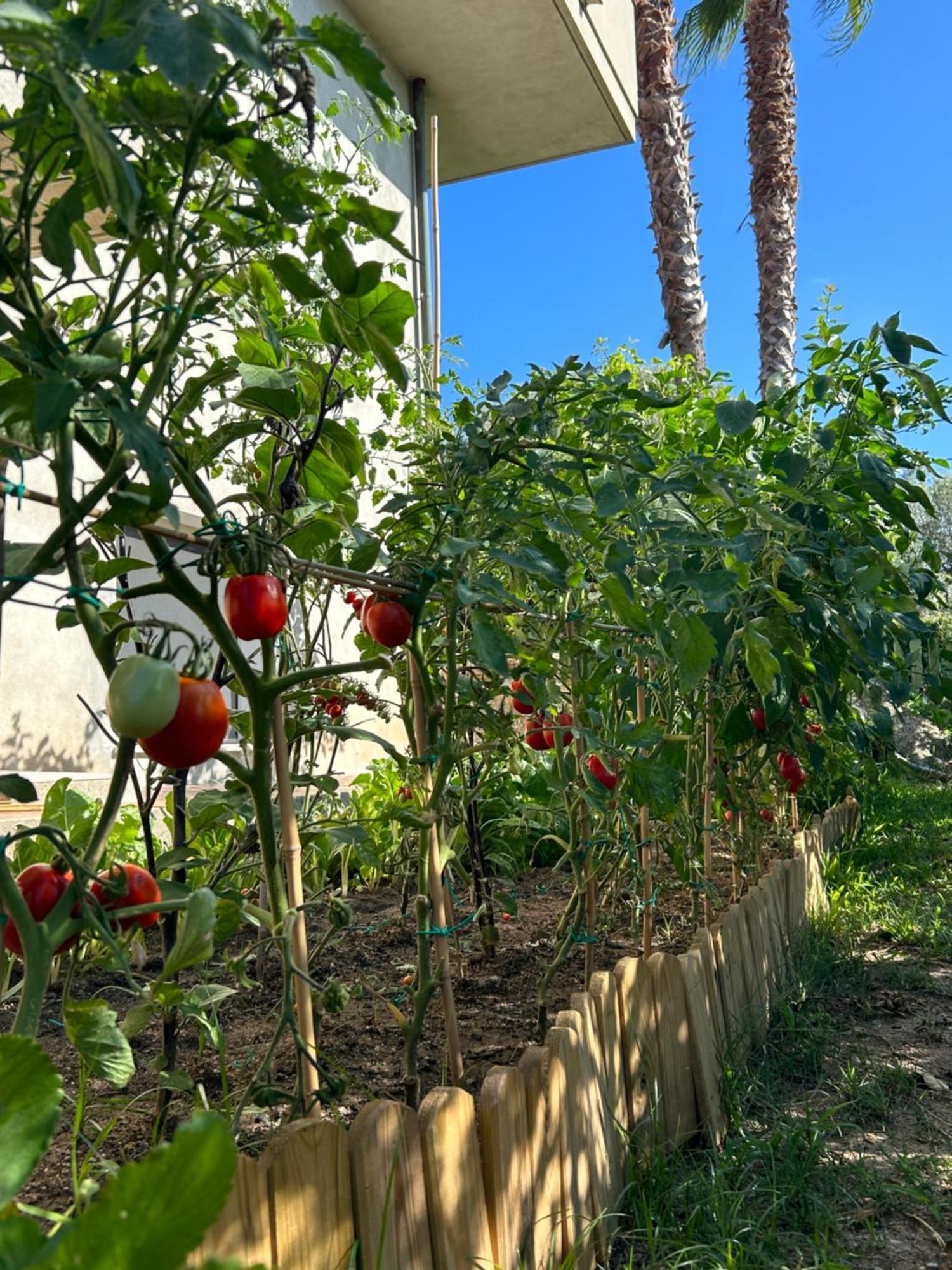 잠브로네 Alto Giardino 아파트 외부 사진