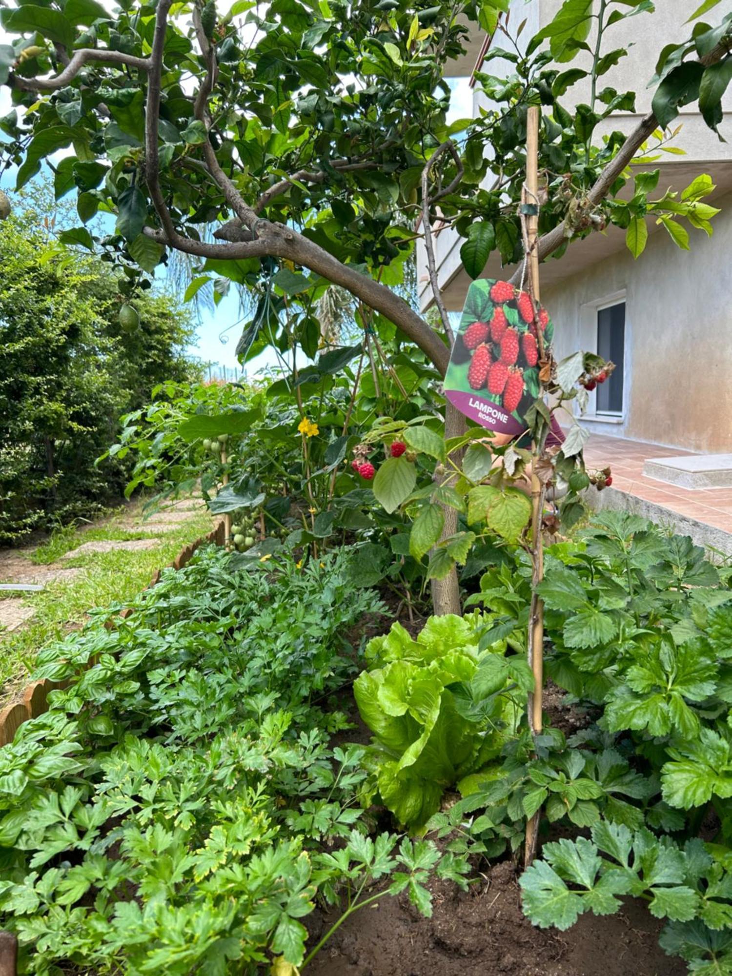 잠브로네 Alto Giardino 아파트 외부 사진
