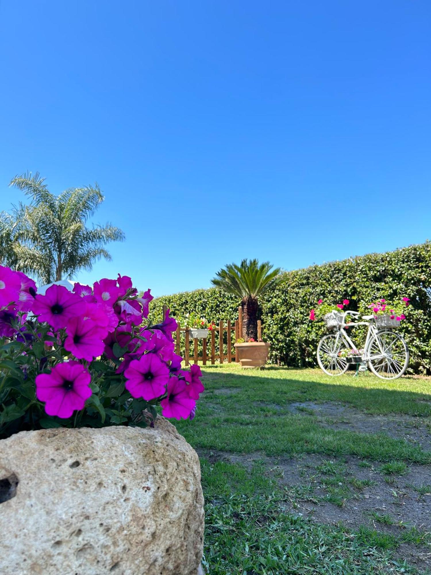 잠브로네 Alto Giardino 아파트 외부 사진