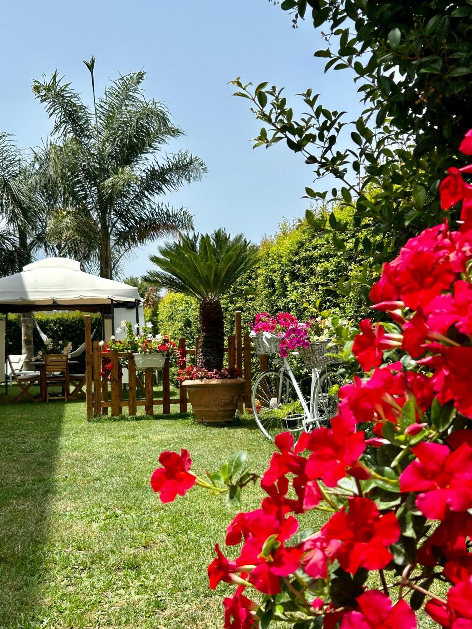 잠브로네 Alto Giardino 아파트 외부 사진